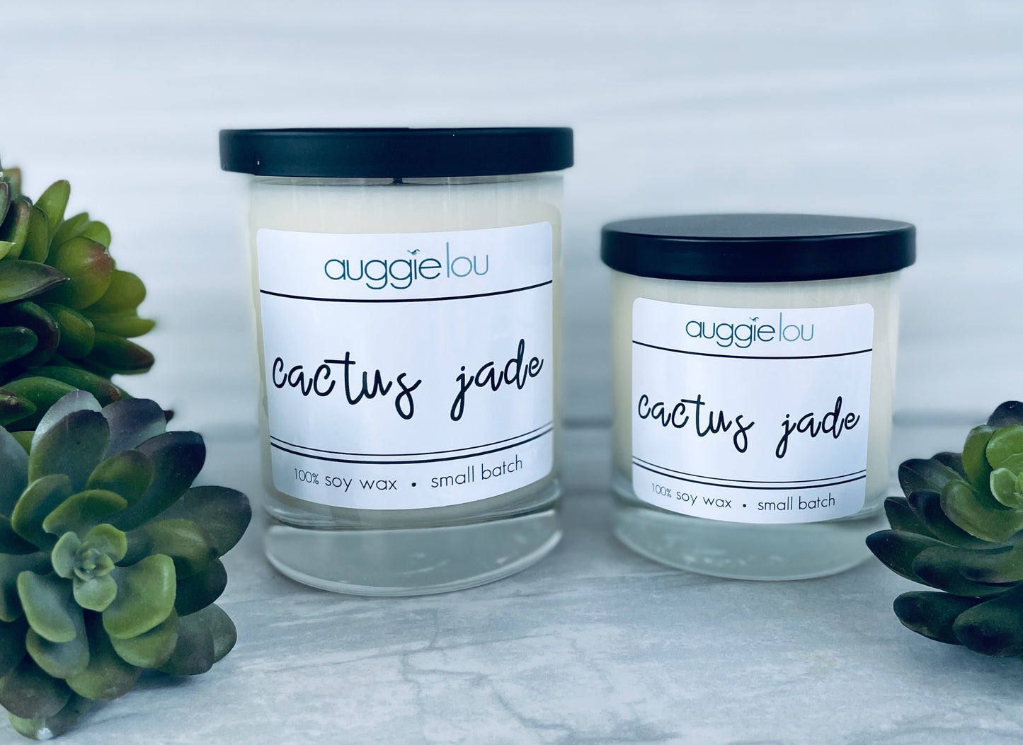 Cactus Jade Soy Candle | 100% Soy Wax | Fresh Scent Candle | 10oz or 6oz | Handmade Candle | auggielou