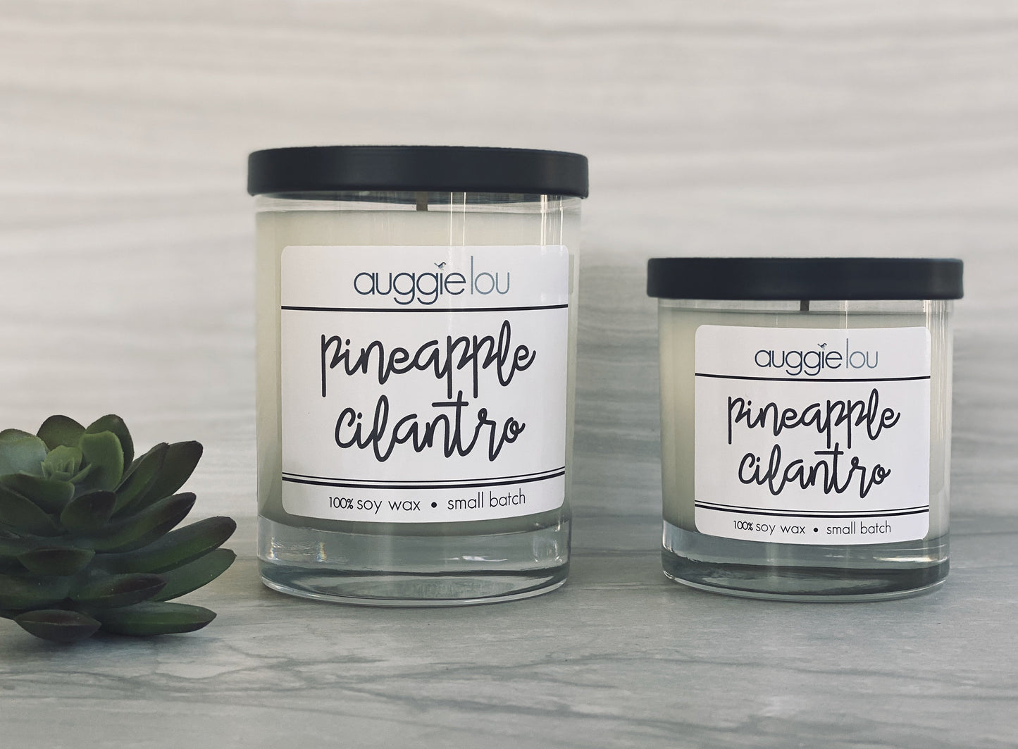 Pineapple Cilantro Soy Candle | 100% Soy Wax | Fresh Scent Candle | 10oz or 6oz | Handmade Candle | auggielou